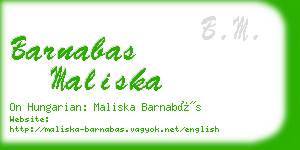 barnabas maliska business card